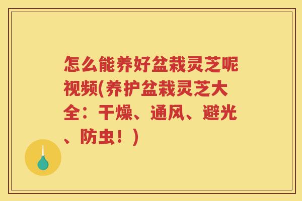 怎么能养好盆栽灵芝呢视频(养护盆栽灵芝大全：干燥、通风、避光、防虫！)