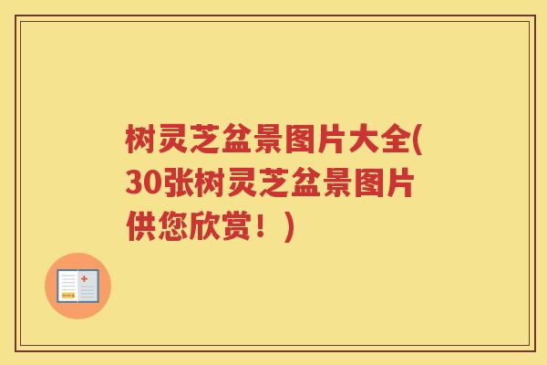 树灵芝盆景图片大全(30张树灵芝盆景图片供您欣赏!) 树灵芝盆景图片大全(30张树灵芝盆景图片供您欣赏!)