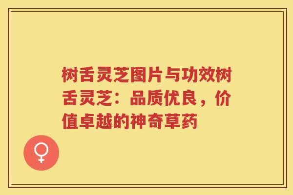 树舌灵芝图片与功效树舌灵芝：品质优良，价值卓越的神奇草药
