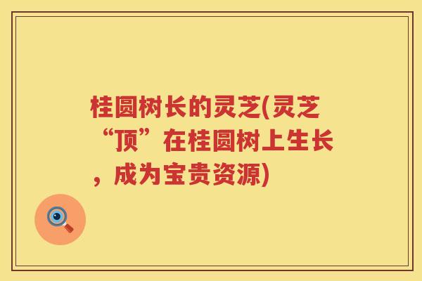 桂圆树长的灵芝(灵芝“顶”在桂圆树上生长，成为宝贵资源)