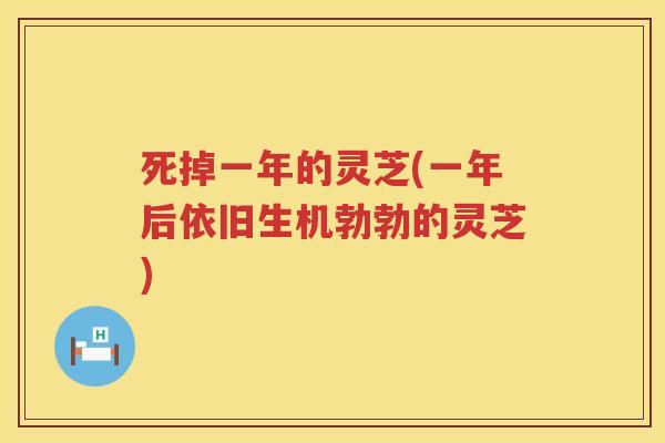 死掉一年的灵芝(一年后依旧生机勃勃的灵芝)