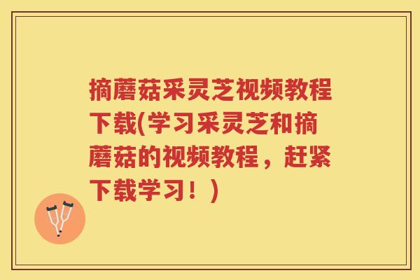 摘蘑菇采灵芝视频教程下载(学习采灵芝和摘蘑菇的视频教程,赶紧下载学习!) 摘蘑菇采灵芝视频教程下载(学习采灵芝和摘蘑菇的视频教程,赶紧下载学习!)