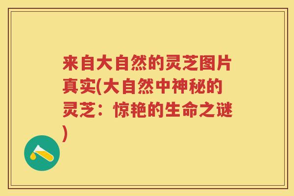 来自大自然的灵芝图片真实(大自然中神秘的灵芝：惊艳的生命之谜)