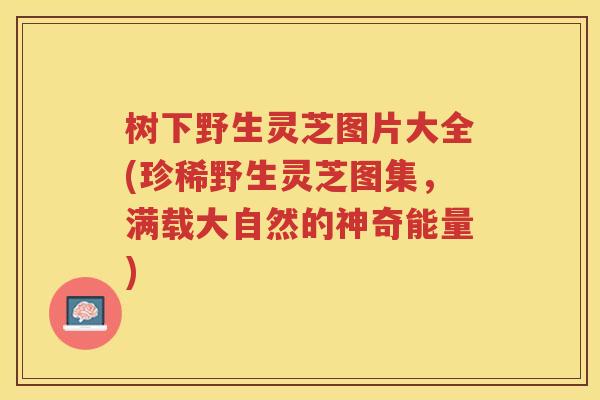 树下野生灵芝图片大全(珍稀野生灵芝图集,满载大自然的神奇能量) 树下野生灵芝图片大全(珍稀野生灵芝图集,满载大自然的神奇能量)