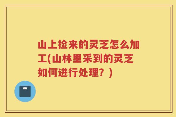 山上捡来的灵芝怎么加工(山林里采到的灵芝如何进行处理？)
