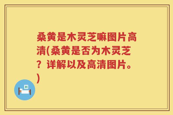 桑黄是木灵芝嘛图片高清(桑黄是否为木灵芝？详解以及高清图片。)