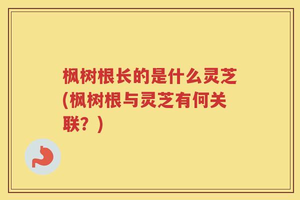 枫树根长的是什么灵芝(枫树根与灵芝有何关联?) 枫树根长的是什么灵芝(枫树根与灵芝有何关联?)