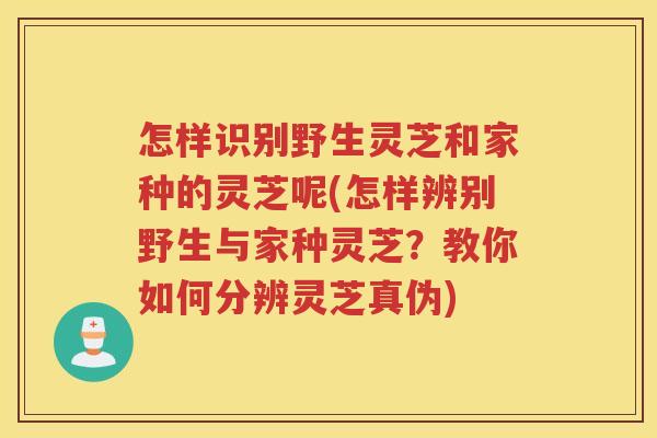 怎样识别野生灵芝和家种的灵芝呢(怎样辨别野生与家种灵芝?教你如何分辨灵芝真伪) 怎样识别野生灵芝和家种的灵芝呢(怎样辨别野生与家种灵芝?教你如何分辨灵芝真伪)