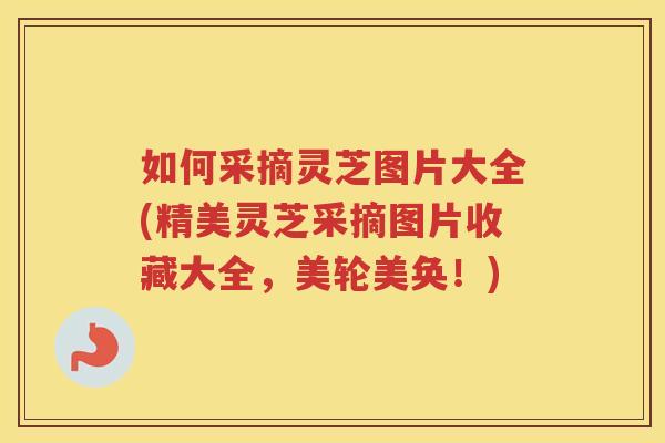 如何采摘灵芝图片大全(精美灵芝采摘图片收藏大全，美轮美奂！)