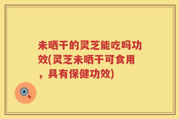 未晒干的灵芝能吃吗功效(灵芝未晒干可食用，具有保健功效)