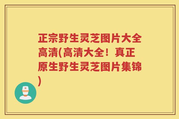 正宗野生灵芝图片大全高清(高清大全！真正原生野生灵芝图片集锦)
