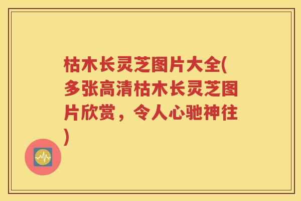 枯木长灵芝图片大全(多张高清枯木长灵芝图片欣赏，令人心驰神往)