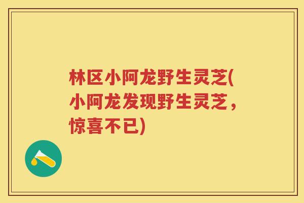 林区小阿龙野生灵芝(小阿龙发现野生灵芝，惊喜不已)