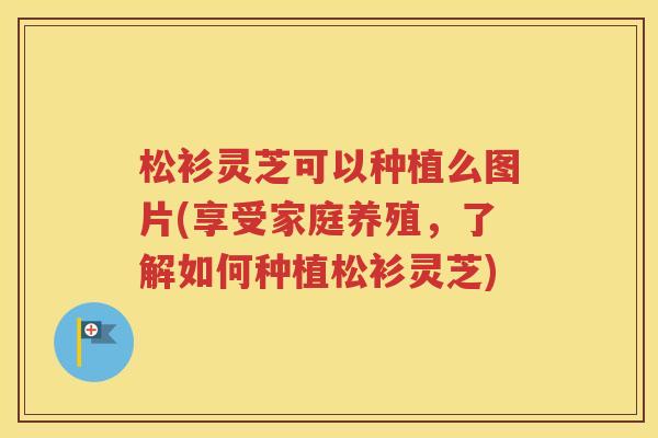 松衫灵芝可以种植么图片(享受家庭养殖，了解如何种植松衫灵芝)