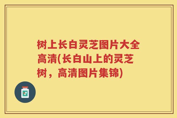 树上长白灵芝图片大全高清(长白山上的灵芝树，高清图片集锦)