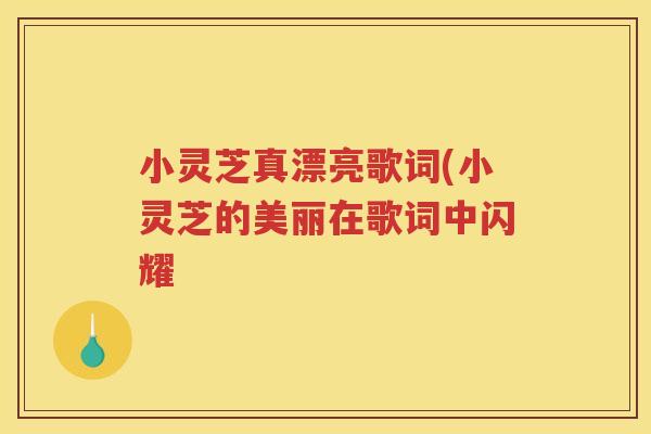 小灵芝真漂亮歌词(小灵芝的美丽在歌词中闪耀
