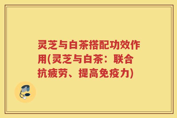 灵芝与白茶搭配功效作用(灵芝与白茶：联合抗疲劳、提高免疫力)