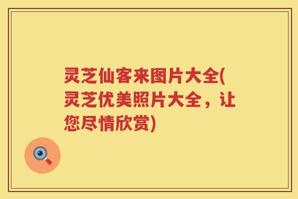 灵芝仙客来图片大全(灵芝优美照片大全，让您尽情欣赏)