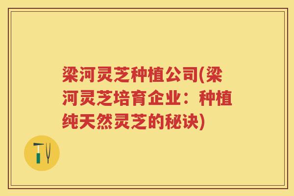 梁河灵芝种植公司(梁河灵芝培育企业：种植纯天然灵芝的秘诀)