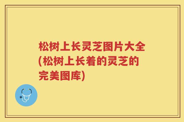 松树上长灵芝图片大全(松树上长着的灵芝的完美图库)