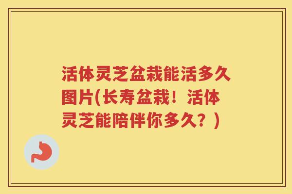 活体灵芝盆栽能活多久图片(长寿盆栽！活体灵芝能陪伴你多久？)