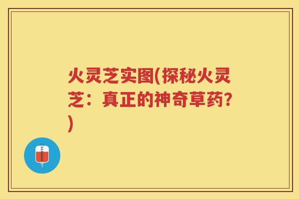火灵芝实图(探秘火灵芝:真正的神奇草药?) 火灵芝实图(探秘火灵芝:真正的神奇草药?)