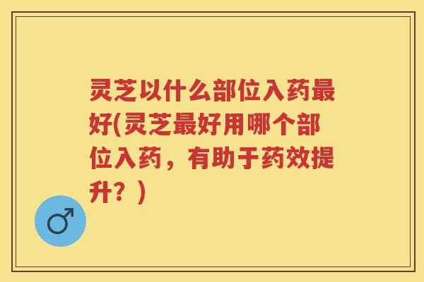 灵芝以什么部位入药最好(灵芝最好用哪个部位入药，有助于药效提升？)