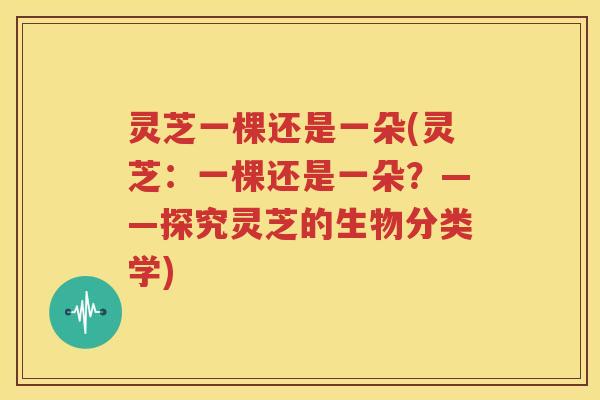 灵芝一棵还是一朵(灵芝：一棵还是一朵？——探究灵芝的生物分类学)