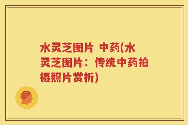 水灵芝图片 中药(水灵芝图片：传统中药拍摄照片赏析)