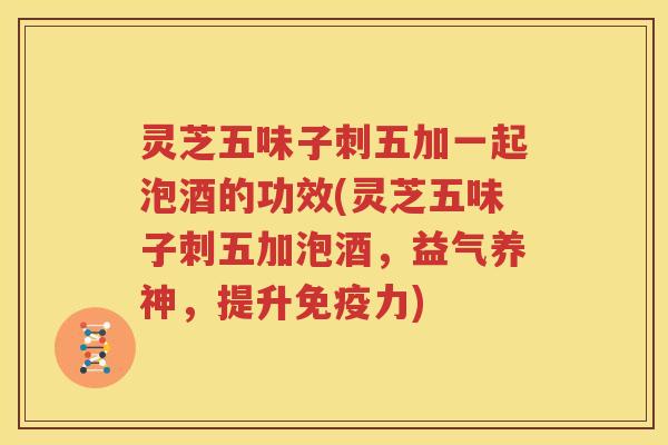 灵芝五味子刺五加一起泡酒的功效(灵芝五味子刺五加泡酒,益气养神,提升免疫力) 灵芝五味子刺五加一起泡酒的功效(灵芝五味子刺五加泡酒,益气养神,提升免疫力)