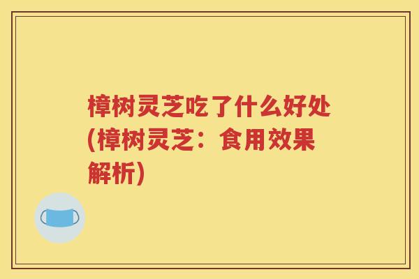 樟树灵芝吃了什么好处(樟树灵芝：食用效果解析)