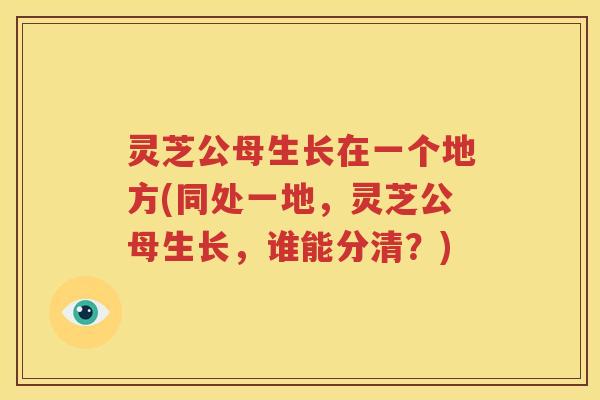 灵芝公母生长在一个地方(同处一地，灵芝公母生长，谁能分清？)