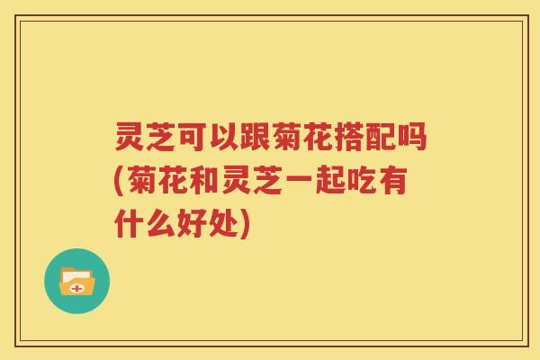 灵芝可以跟菊花搭配吗(菊花和灵芝一起吃有什么好处)