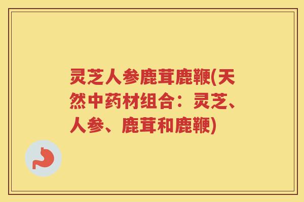 灵芝人参鹿茸鹿鞭(天然中药材组合：灵芝、人参、鹿茸和鹿鞭)