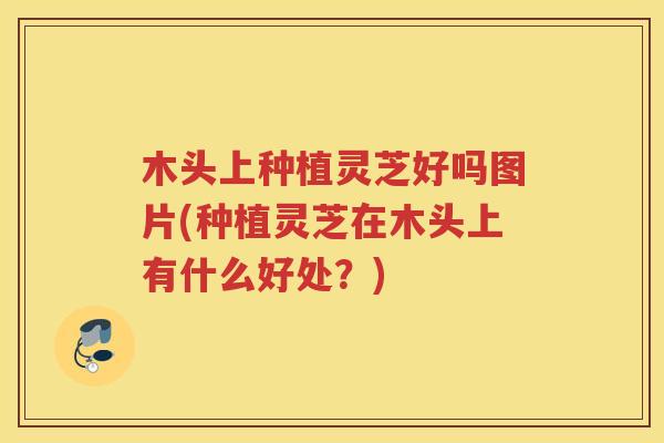 木头上种植灵芝好吗图片(种植灵芝在木头上有什么好处？)