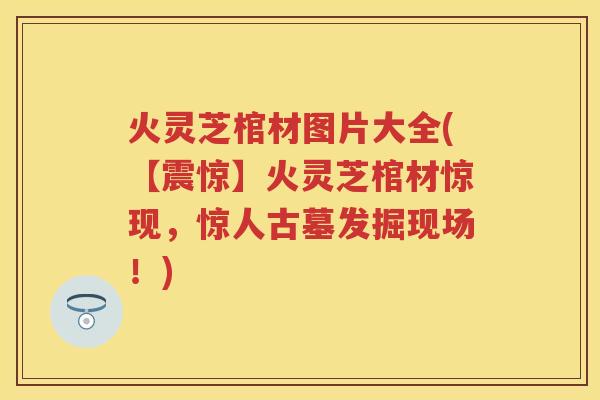 火灵芝棺材图片大全(【震惊】火灵芝棺材惊现，惊人古墓发掘现场！)