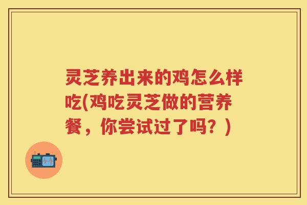 灵芝养出来的鸡怎么样吃(鸡吃灵芝做的营养餐，你尝试过了吗？)