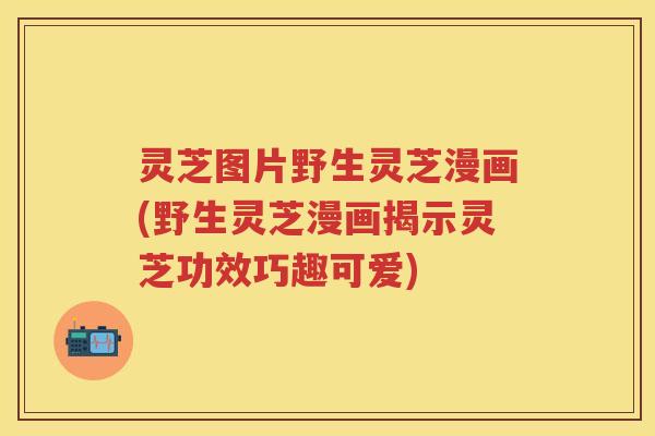 灵芝图片野生灵芝漫画(野生灵芝漫画揭示灵芝功效巧趣可爱)