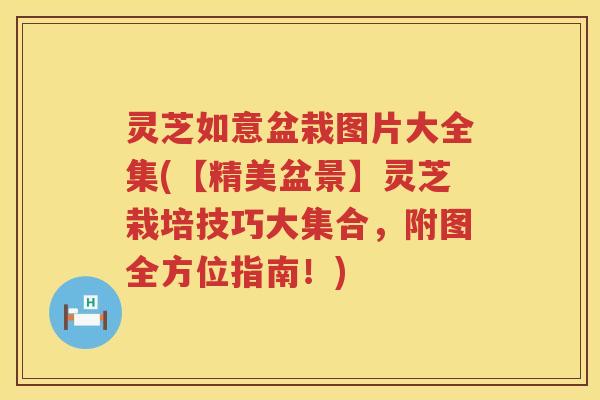 灵芝如意盆栽图片大全集(【精美盆景】灵芝栽培技巧大集合，附图全方位指南！)