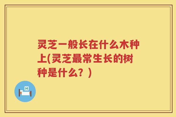 灵芝一般长在什么木种上(灵芝常生长的树种是什么？)