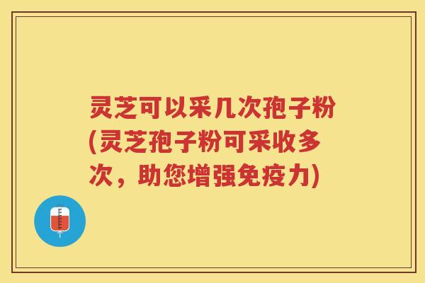 灵芝可以采几次孢子粉(灵芝孢子粉可采收多次,助您增强免疫力) 灵芝可以采几次孢子粉(灵芝孢子粉可采收多次,助您增强免疫力)