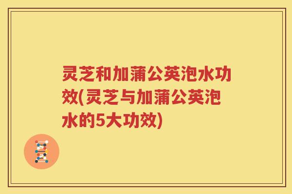灵芝和加蒲公英泡水功效(灵芝与加蒲公英泡水的5大功效)