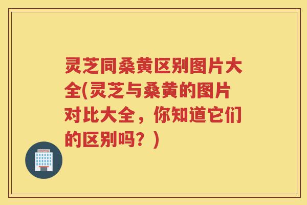 灵芝同桑黄区别图片大全(灵芝与桑黄的图片对比大全，你知道它们的区别吗？)