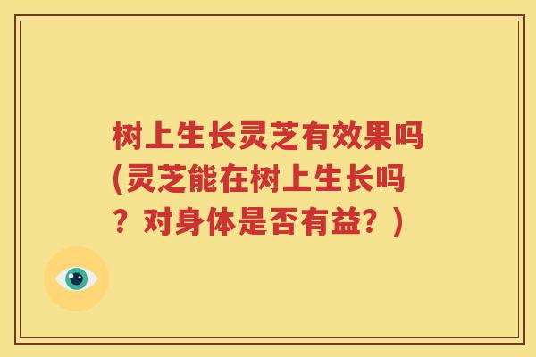 树上生长灵芝有效果吗(灵芝能在树上生长吗？对身体是否有益？)