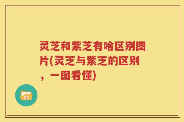 灵芝和紫芝有啥区别图片(灵芝与紫芝的区别，一图看懂)