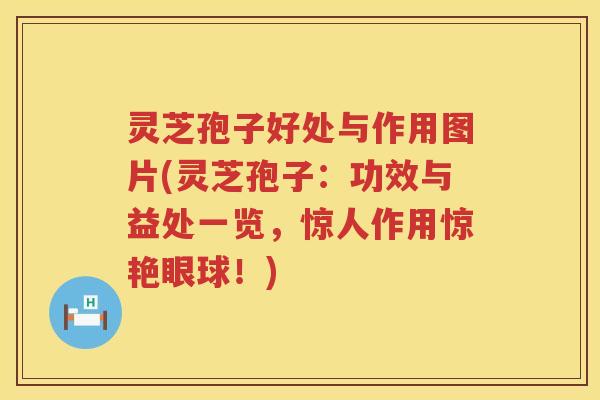 灵芝孢子好处与作用图片(灵芝孢子：功效与益处一览，惊人作用惊艳眼球！)