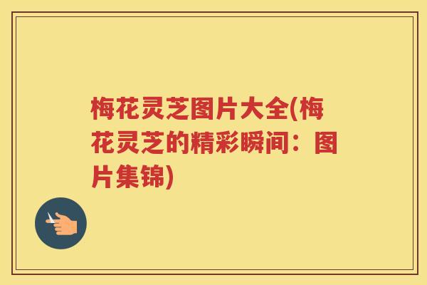 梅花灵芝图片大全(梅花灵芝的精彩瞬间:图片集锦) 梅花灵芝图片大全(梅花灵芝的精彩瞬间:图片集锦)