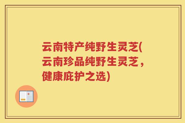 云南特产纯野生灵芝(云南珍品纯野生灵芝，健康庇护之选)