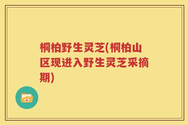 桐柏野生灵芝(桐柏山区现进入野生灵芝采摘期)
