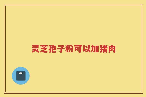 灵芝孢子粉可以加猪肉